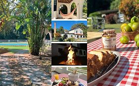 Casarão Miguel Pereira - Refúgio na Natureza com Lareira Externa, Piscina, Fondue e Amplo Jardim - 12 Min do Parque Terra dos Dinos